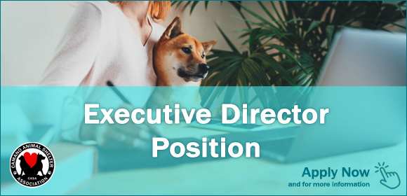 Hiring an Executive Director
