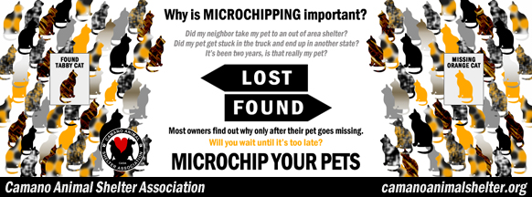Microchip Pets